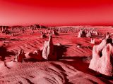 Farnaz Dadfar, Lot 4: Pinnacles Desert, from the ‘Blood Real Estate’ series, 2022. 